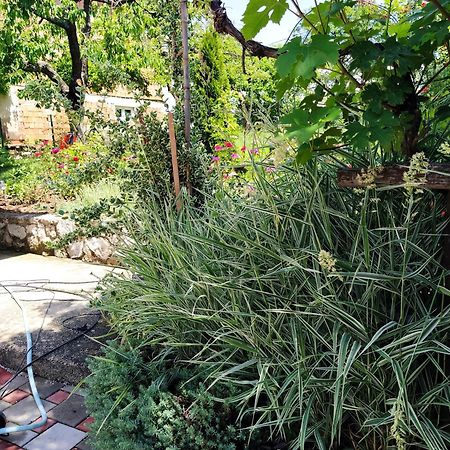 Guest House Bee Visoko Dış mekan fotoğraf