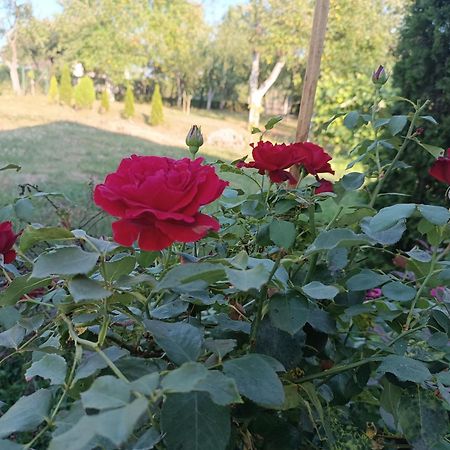 Guest House Bee Visoko Dış mekan fotoğraf