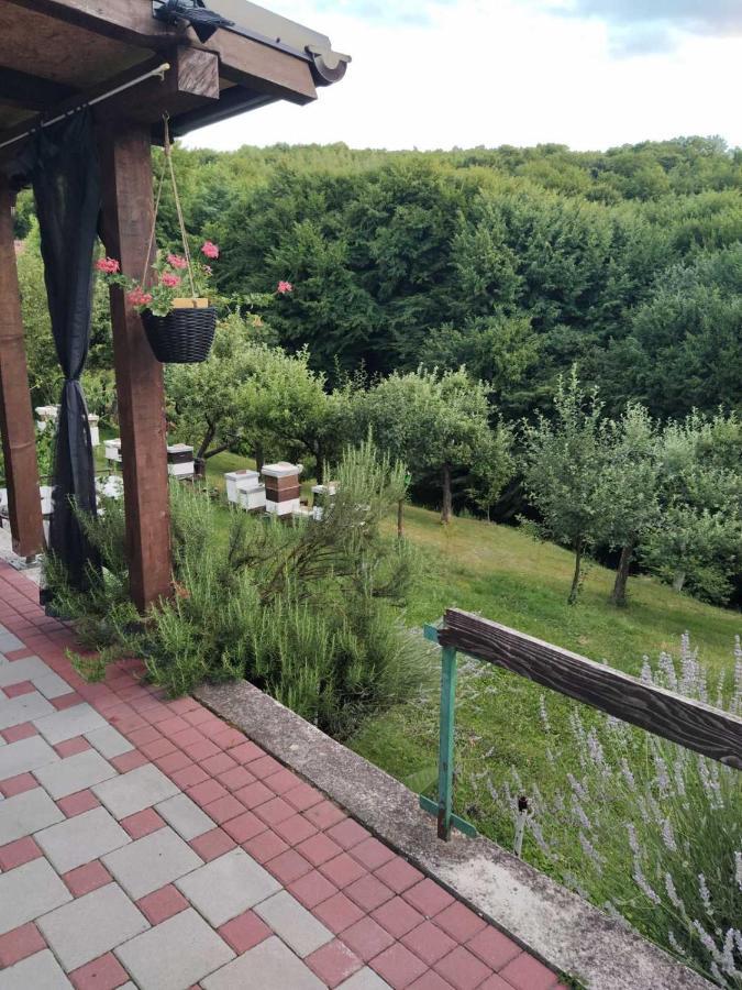 Guest House Bee Visoko Dış mekan fotoğraf