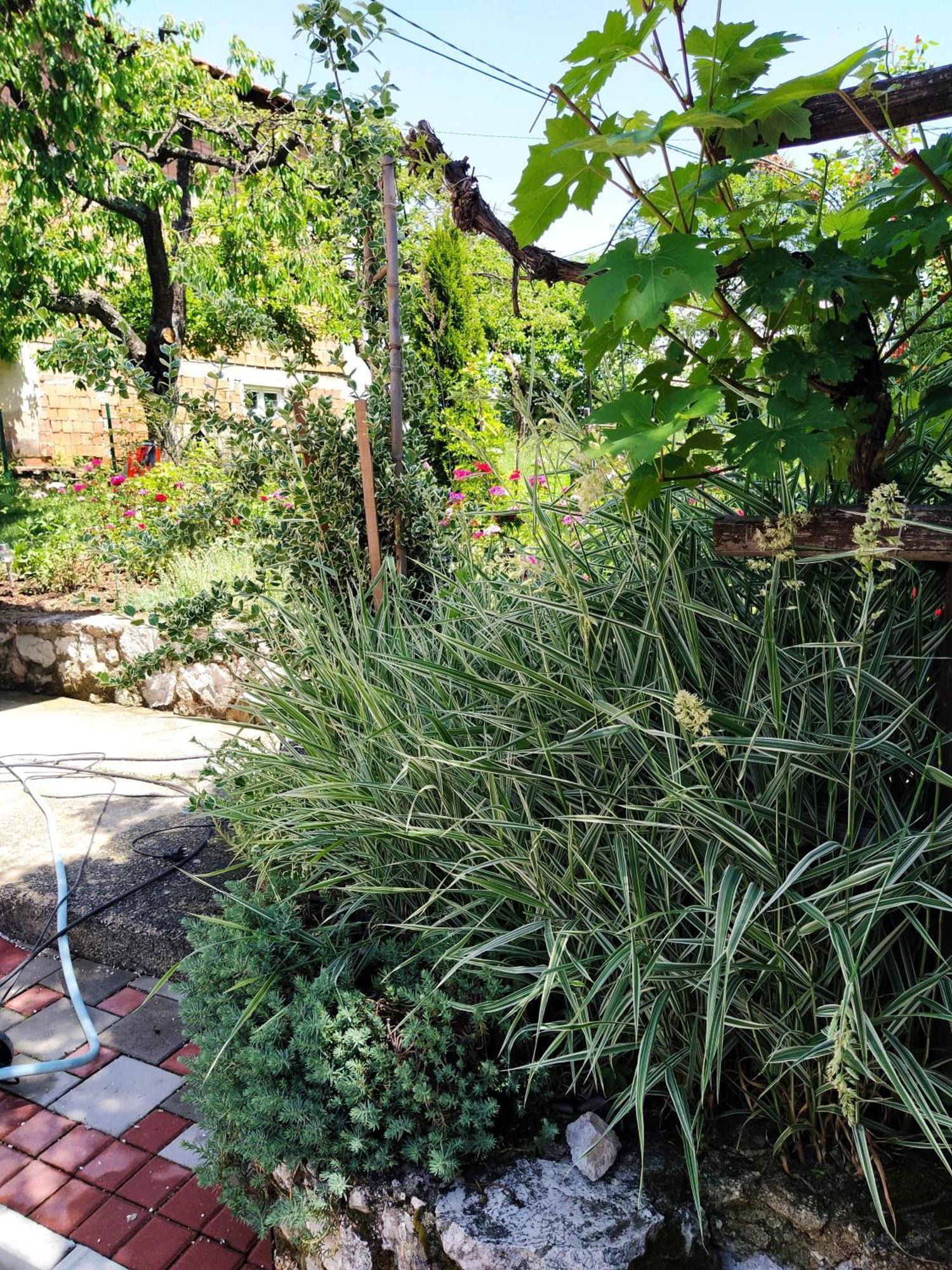 Guest House Bee Visoko Dış mekan fotoğraf