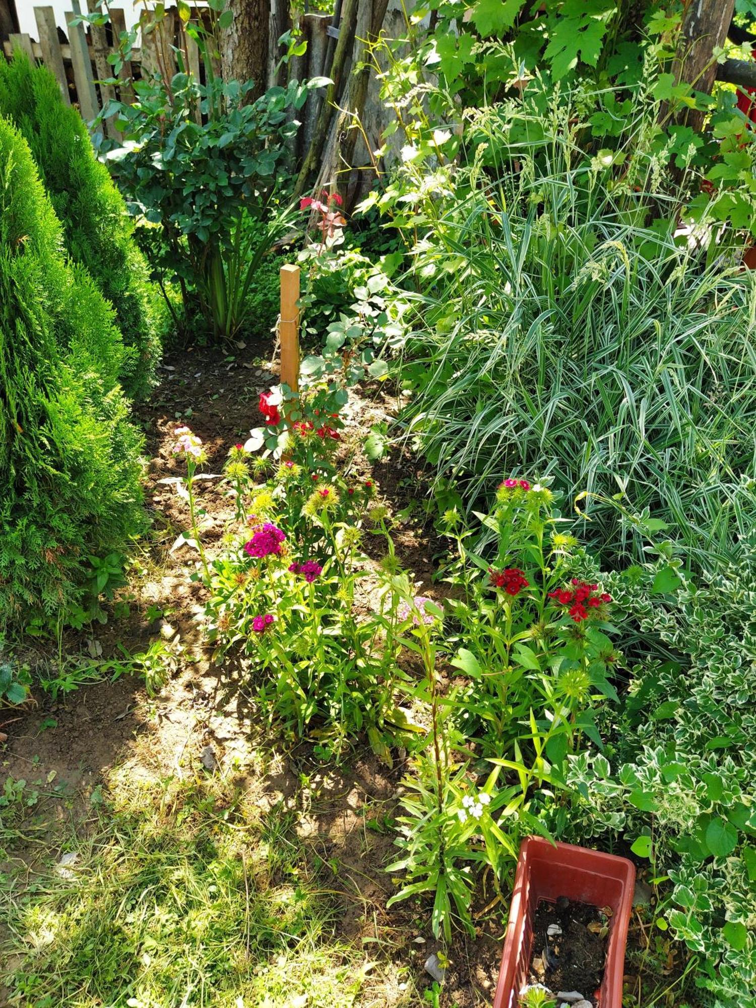 Guest House Bee Visoko Dış mekan fotoğraf