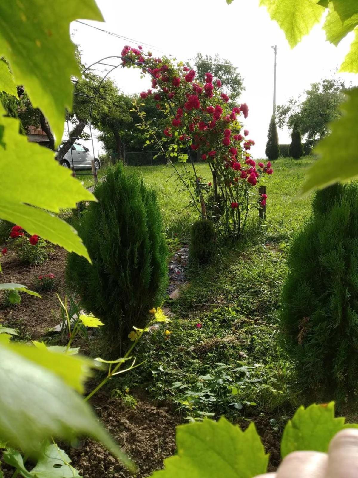 Guest House Bee Visoko Dış mekan fotoğraf