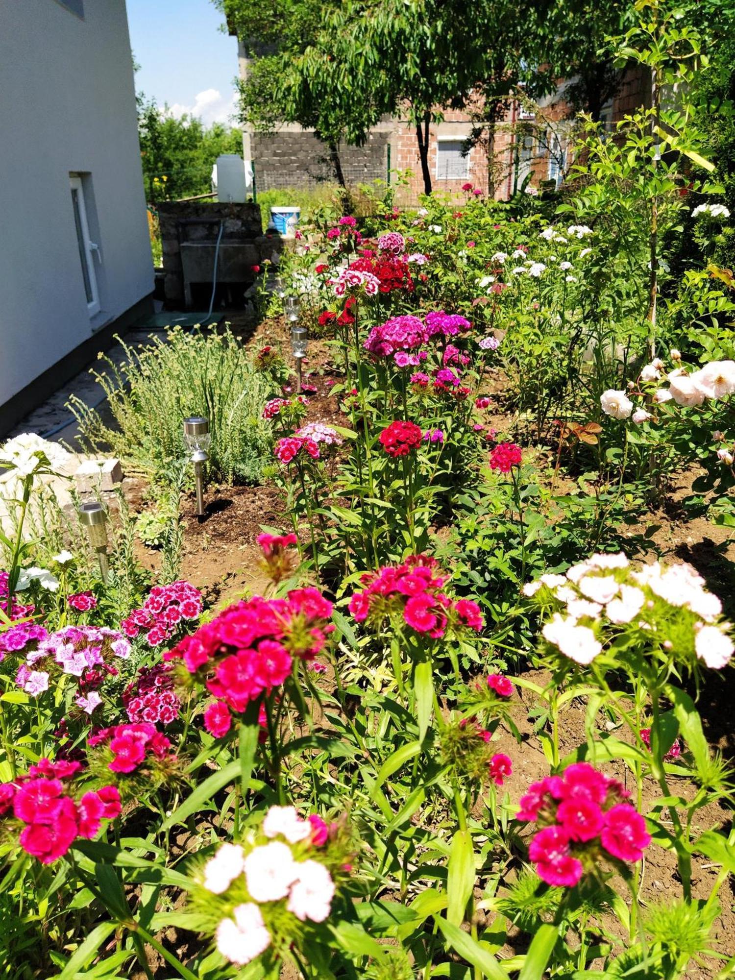 Guest House Bee Visoko Dış mekan fotoğraf